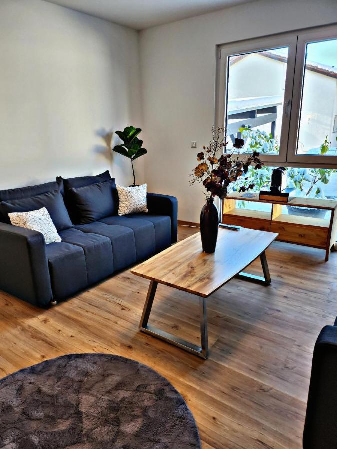 Lions Place Premium Apartments Comfort Optionaler Zugang Zum Spa- Bereich Heidenheim an der Brenz Luaran gambar