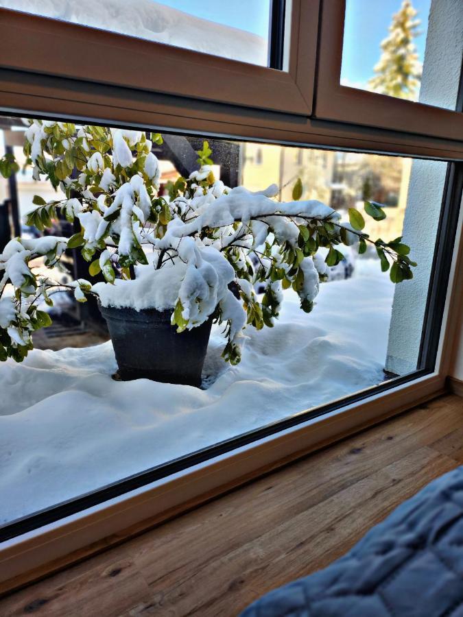 Lions Place Premium Apartments Comfort Optionaler Zugang Zum Spa- Bereich Heidenheim an der Brenz Luaran gambar